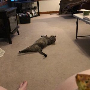 Meet your Posher, Donna